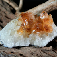 Citrine Display (0.6LB) #2627