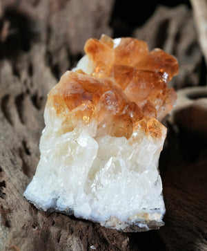 Citrine Display (0.6LB) #2627