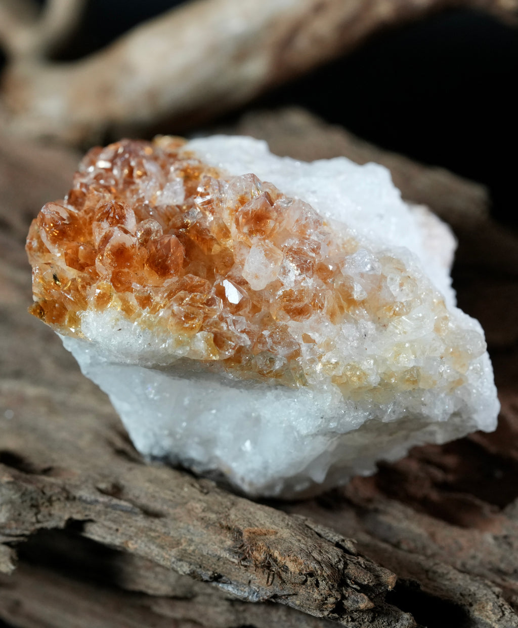 Citrine Display (0.62LB) #2628