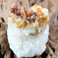 Citrine Display (0.83LB) #2565