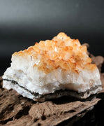 Citrine Display (1.86LB) #2507