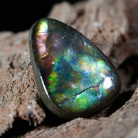 Freeform Natural Ammolite Loose Gemstone #A411