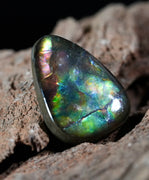 Freeform Natural Ammolite Loose Gemstone #A411