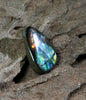 Freeform Natural Ammolite Loose Gemstone #A411