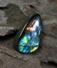 Freeform Natural Ammolite Loose Gemstone #A411