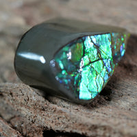 Freeform Natural Ammolite Loose Gemstone #A222