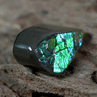 Freeform Natural Ammolite Loose Gemstone #A222