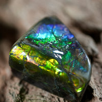 Freeform Natural Ammolite Loose Gemstone #A253