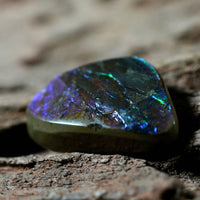 Freeform Natural Ammolite Loose Gemstone #A231