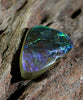 Freeform Natural Ammolite Loose Gemstone #A231