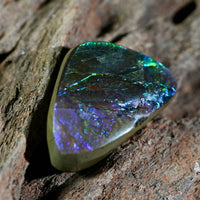 Freeform Natural Ammolite Loose Gemstone #A231