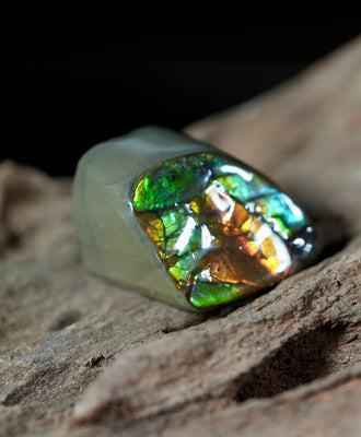 Freeform Natural Ammolite Loose Gemstone #A232