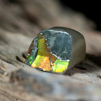 Freeform Natural Ammolite Loose Gemstone #A232