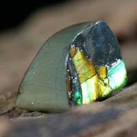 Freeform Natural Ammolite Loose Gemstone #A232