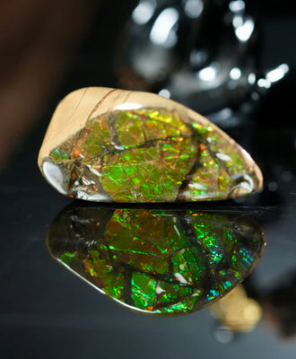 Freeform Natural Ammolite Loose Gemstone #A252