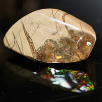 Freeform Natural Ammolite Loose Gemstone #A252