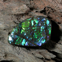 Freeform Natural Ammolite Loose Gemstone #A257