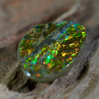 Freeform Natural Ammolite Loose Gemstone #A229