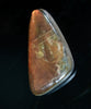 Freeform Natural Ammolite Loose Gemstone #A423