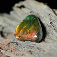 Freeform Natural Ammolite Loose Gemstone #A408