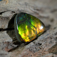 Freeform Natural Ammolite Loose Gemstone #A408