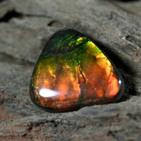 Freeform Natural Ammolite Loose Gemstone #A408