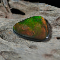 Freeform Natural Ammolite Loose Gemstone #A407