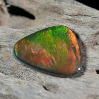 Freeform Natural Ammolite Loose Gemstone #A407