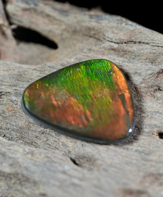 Freeform Natural Ammolite Loose Gemstone #A407