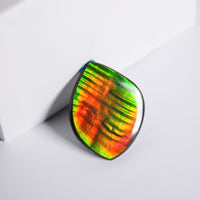 DOUBLE-SIDED FREEFORM AMMOLITE LOOSE GEMSTONE #A366