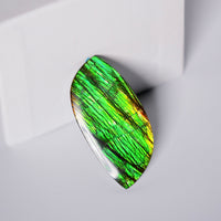 DOUBLE-SIDED FREEFORM AMMOLITE LOOSE GEMSTONE #A368