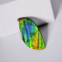 DOUBLE-SIDED FREEFORM AMMOLITE LOOSE GEMSTONE #A368