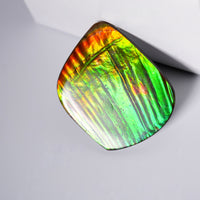 DOUBLE-SIDED FREEFORM AMMOLITE LOOSE GEMSTONE  #A370