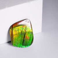 DOUBLE-SIDED FREEFORM AMMOLITE LOOSE GEMSTONE  #A370