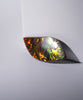 FREEFORM AMMOLITE LOOSE GEMSTONE #272