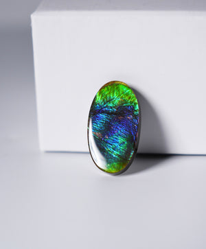 FREEFORM AMMOLITE LOOSE GEMSTONE #A343