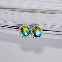 AMMOLITE EARRINGS #319