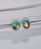 AMMOLITE EARRINGS #319