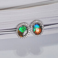 AMMOLITE EARRINGS #319