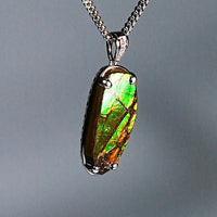 Freeform Ammolite Pendant #1998