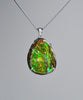 Freeform Ammolite Pendant #1996