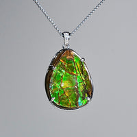 Freeform Ammolite Pendant #1996