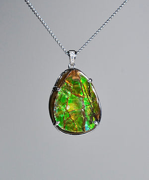 Freeform Ammolite Pendant #1996