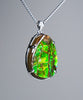 Freeform Ammolite Pendant #1996