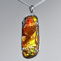 Freeform Ammolite Pendant #1991