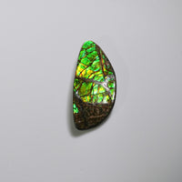 Freeform Ammolite Loose Gemstone  #A265