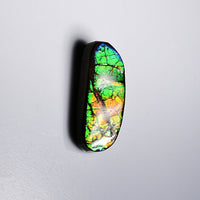 Freeform Ammolite Loose Gemstone  #A325