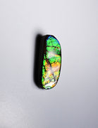 Freeform Ammolite Loose Gemstone  #A325