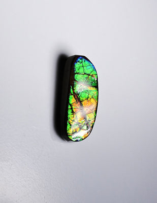 Freeform Ammolite Loose Gemstone  #A325