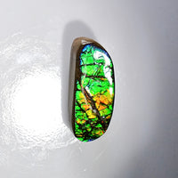 Freeform Ammolite Loose Gemstone  #A325